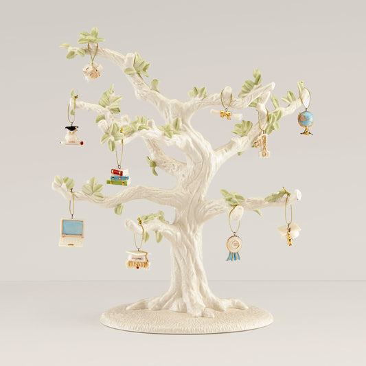 Ensemble de décorations de remise de diplôme 10 pièces