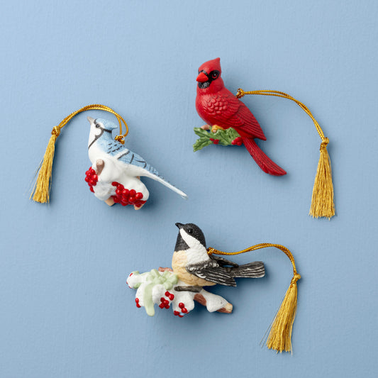 Décorations d'oiseaux d'hiver - Lot de 3