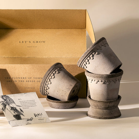 Pots en terre cuite Kobenhavner Raw Nordic Grey 10 cm, lot de 3