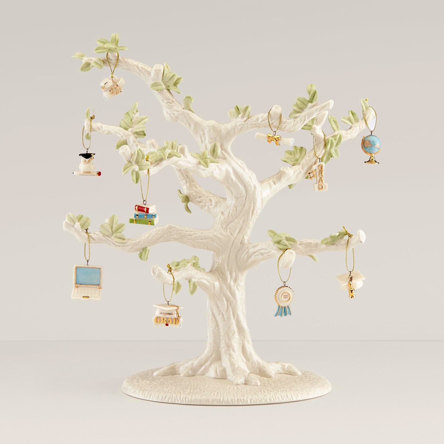 Ensemble de décorations de remise de diplôme 10 pièces